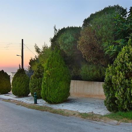 Luxury Villa Sea Melody Palaia Fokaia Exterior photo